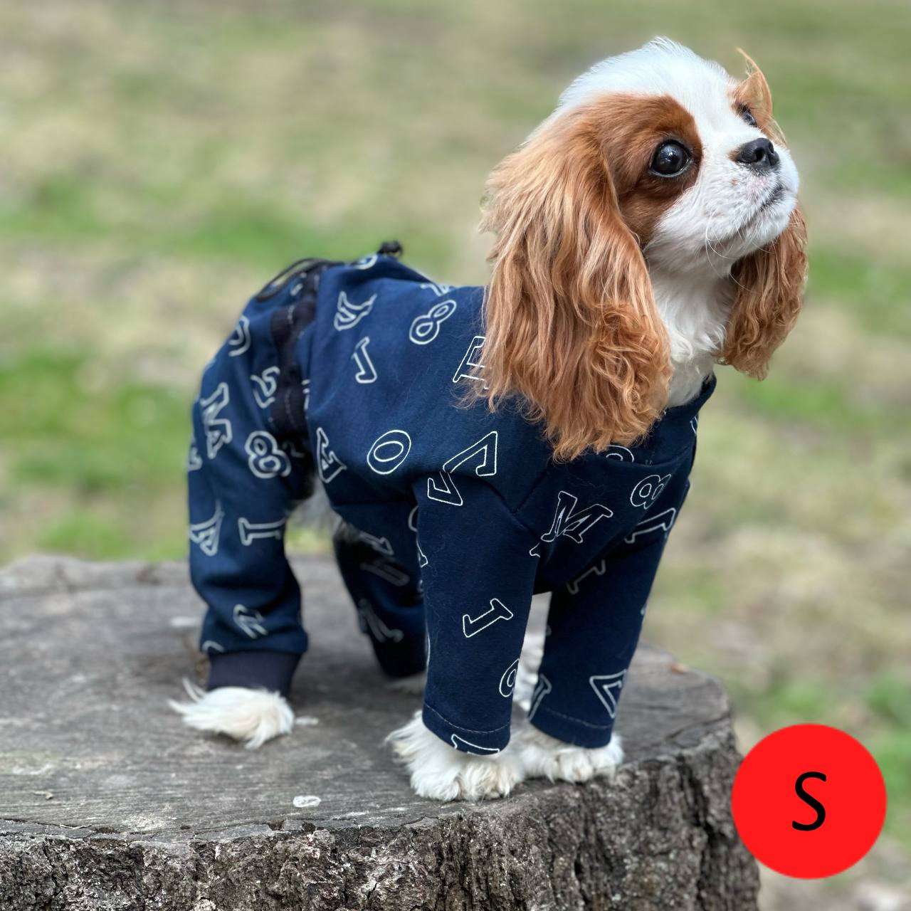 SIRKO costume "Blue letters" - Image 2