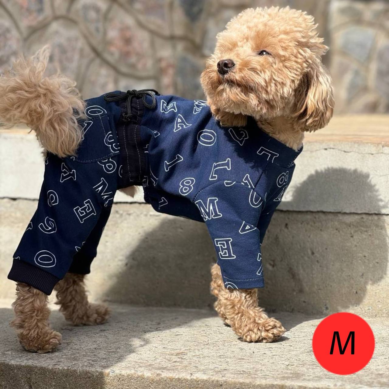 SIRKO costume "Blue letters" - Image 3