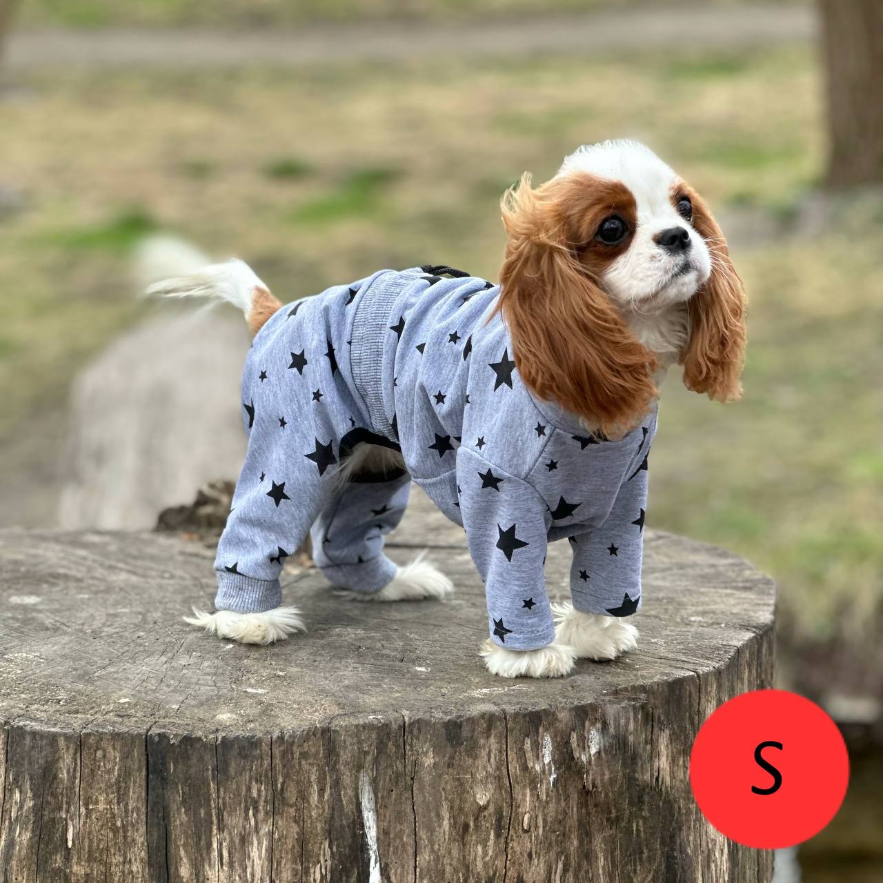 SIRKO costume "Stars" - Image 2